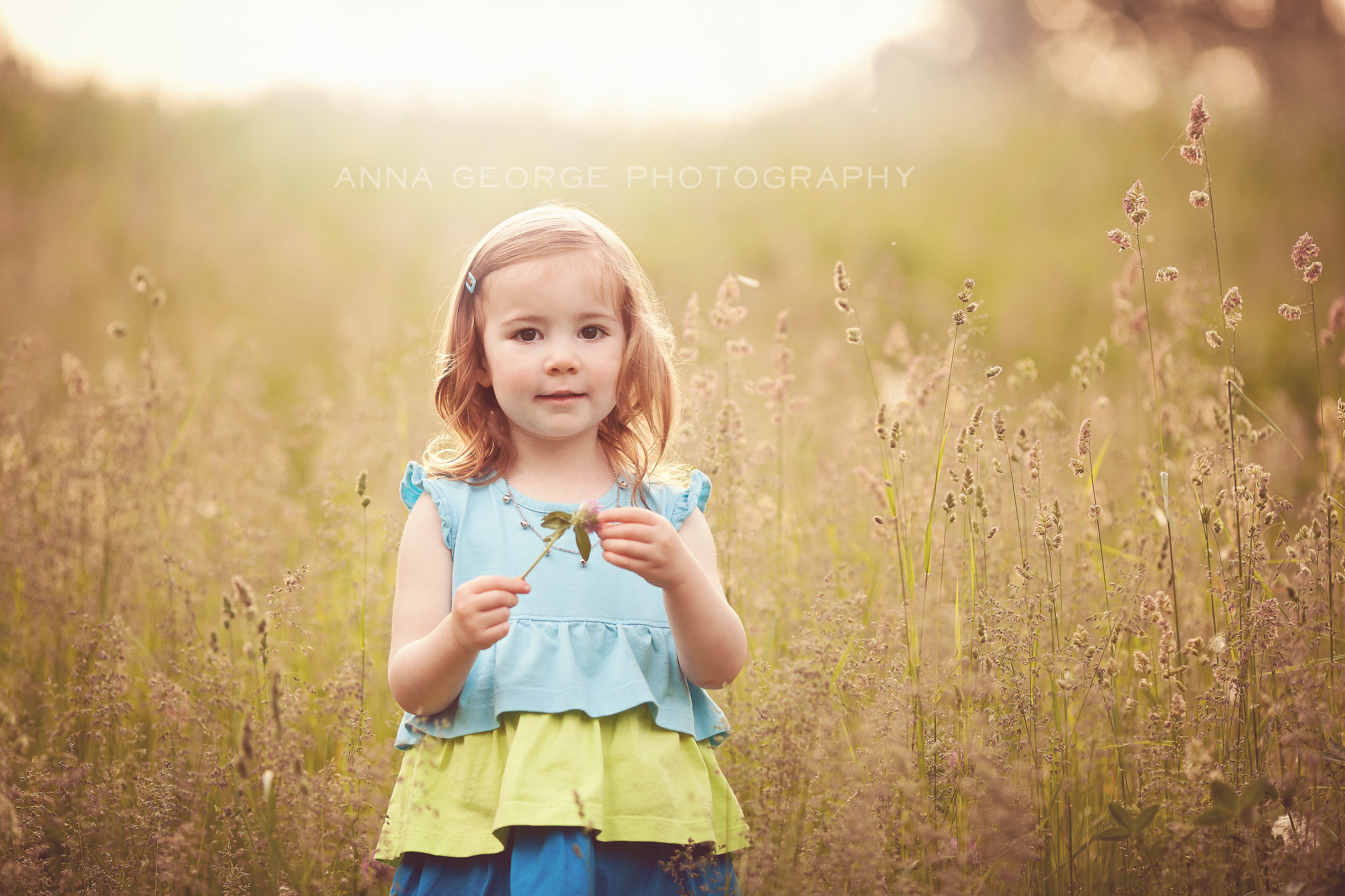 child photography - madison wi - anna george photography