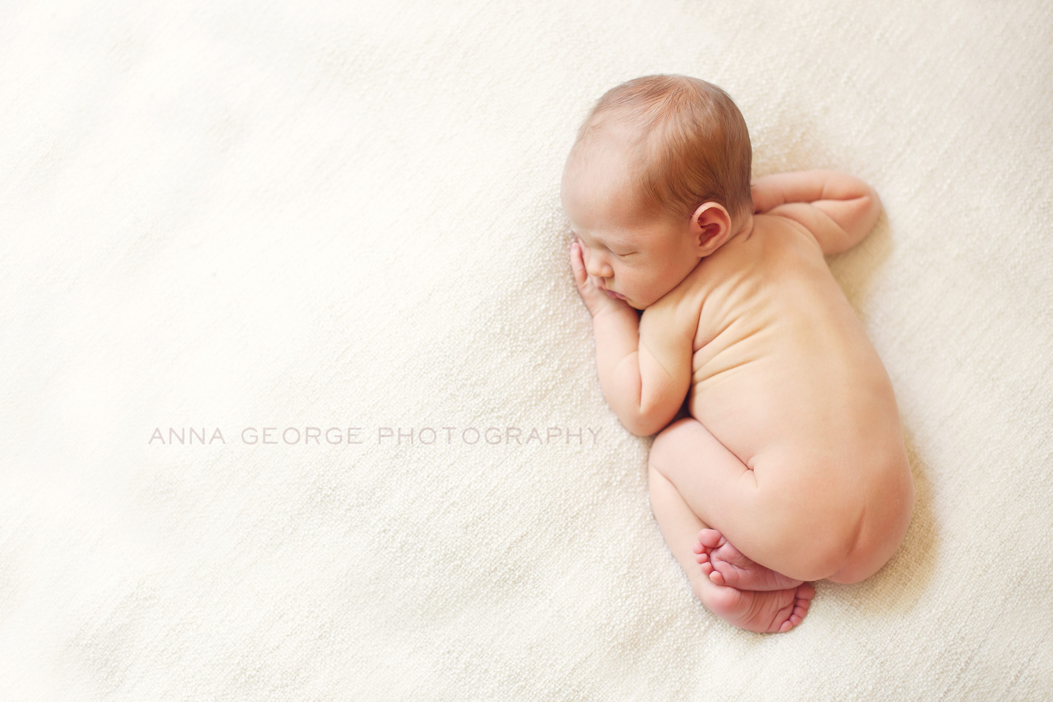 madison wi newborn photographer -4