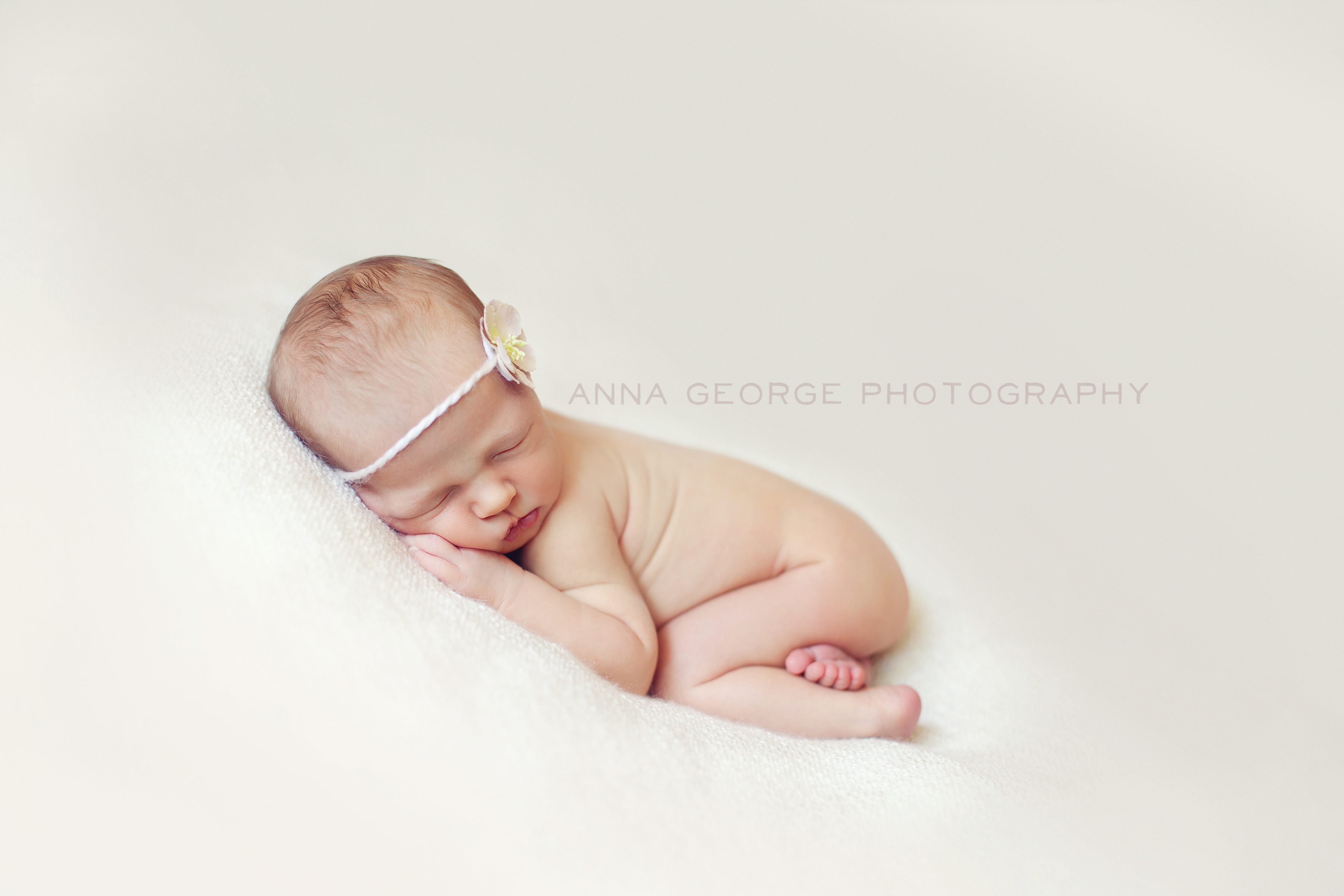 madison wi newborn photographer -3