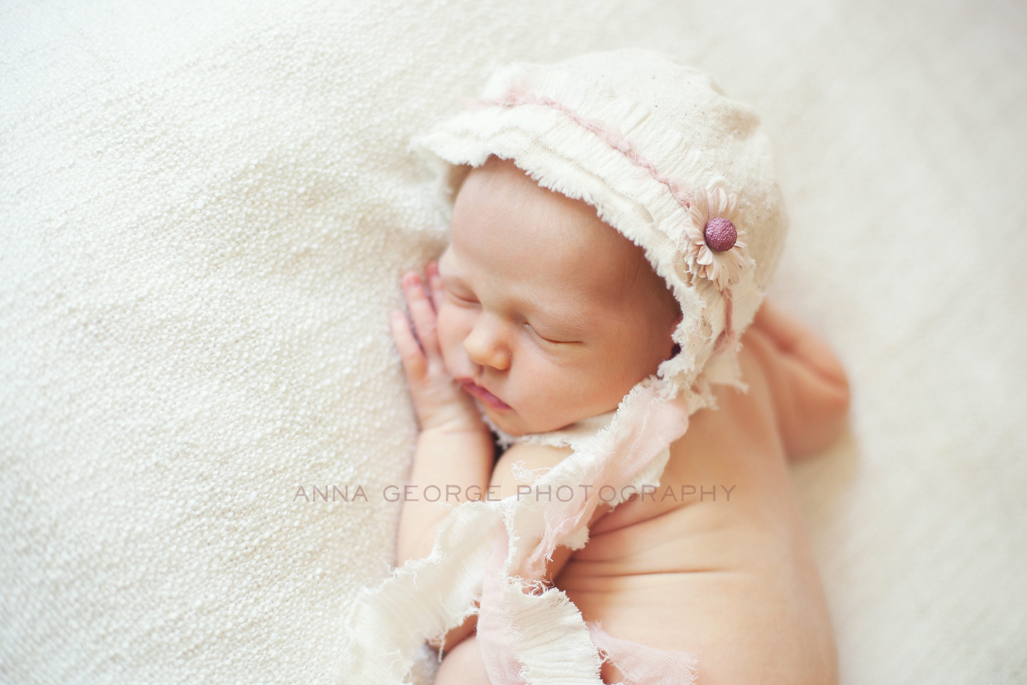 madison wi newborn photographer -6