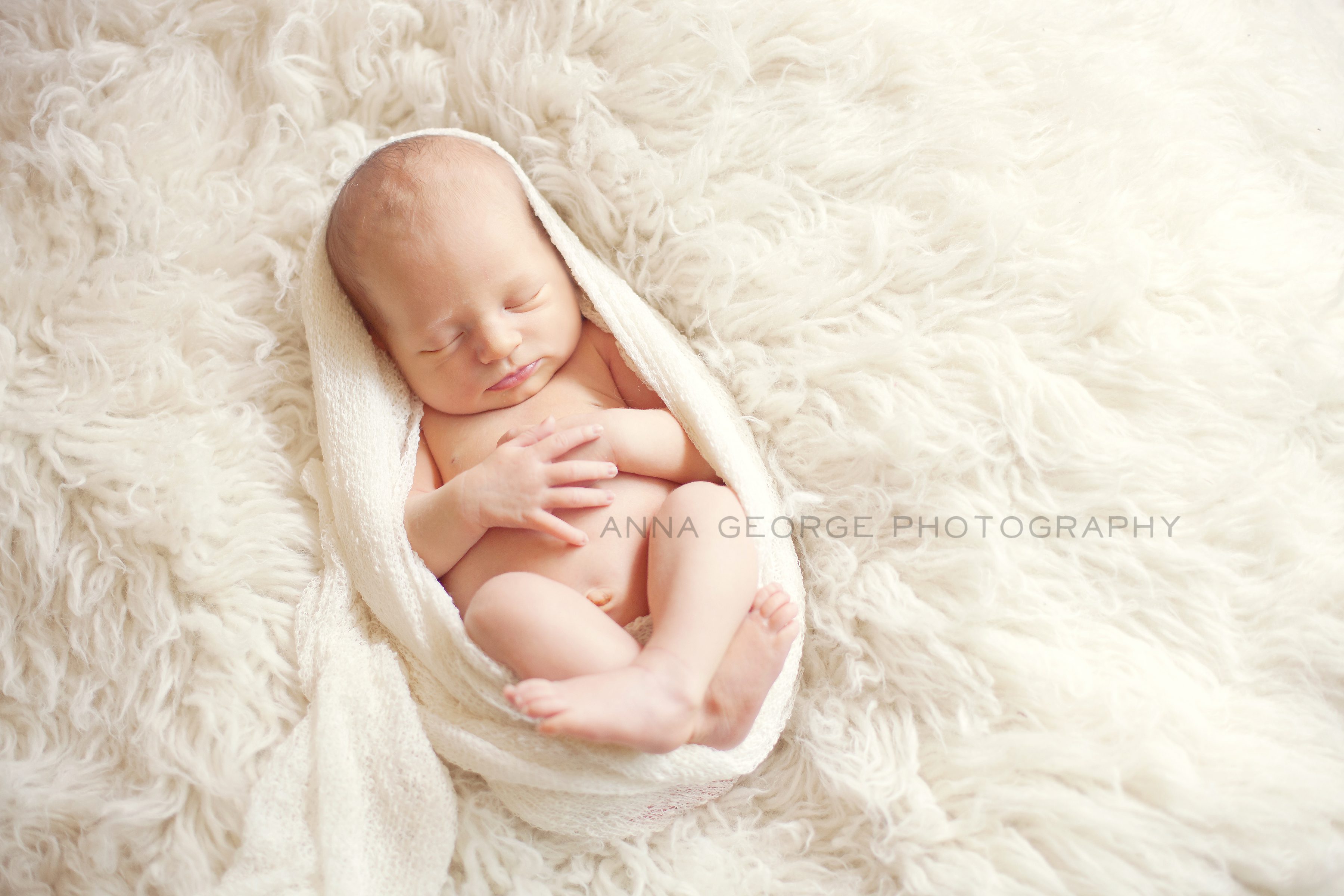 madison wi newborn photographer -11