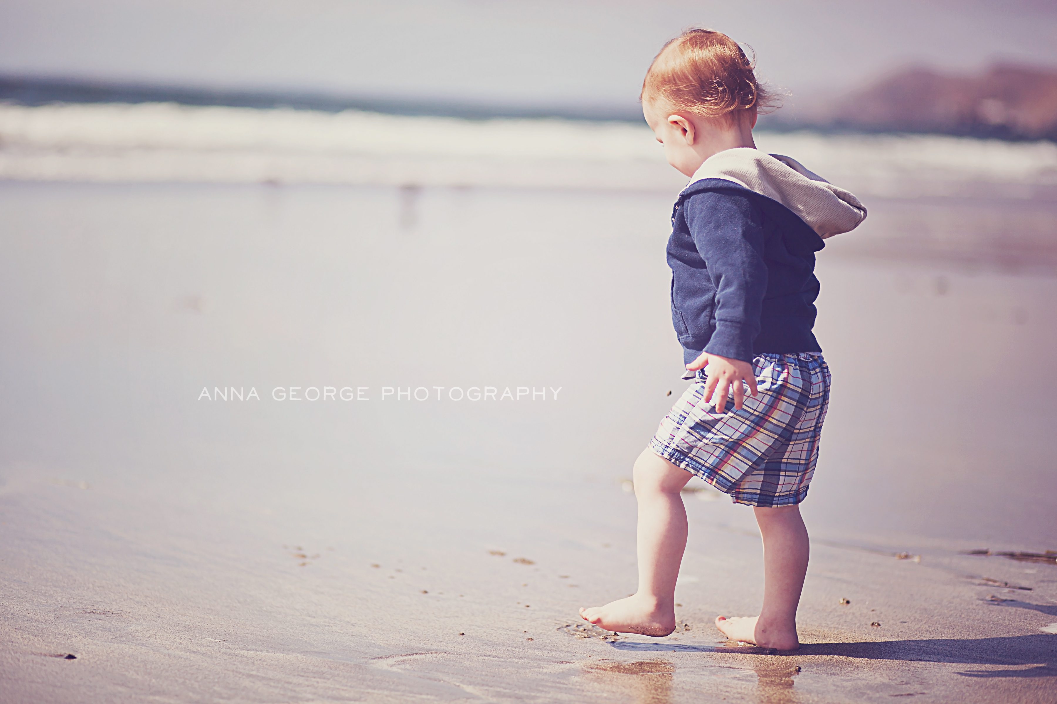 Madison WI family photographer - Anna George Photography - www.annageorgephoto.com