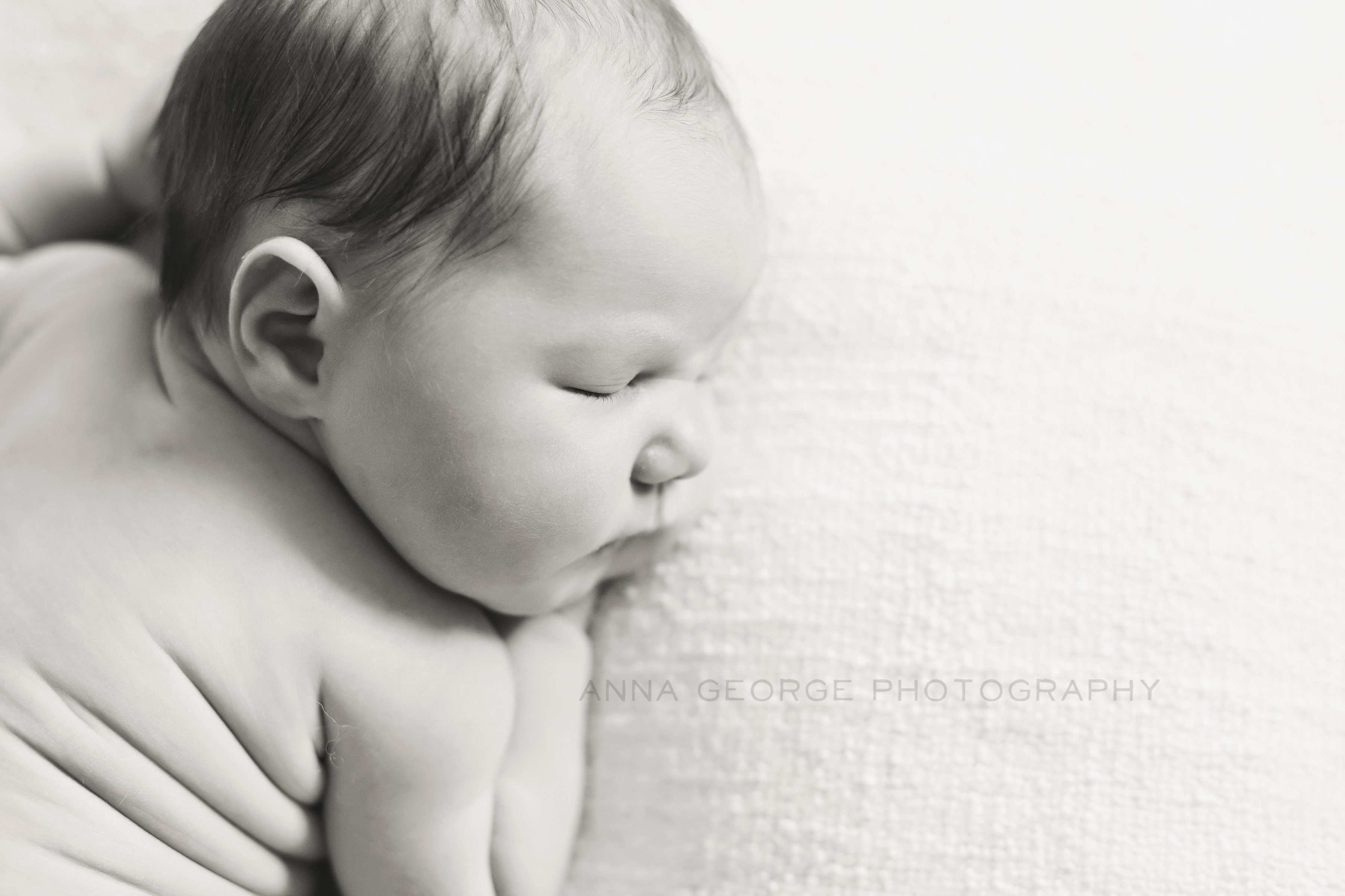 Anna George Photography - Madison WI Newborn Photographer - www.annageorgephoto.com