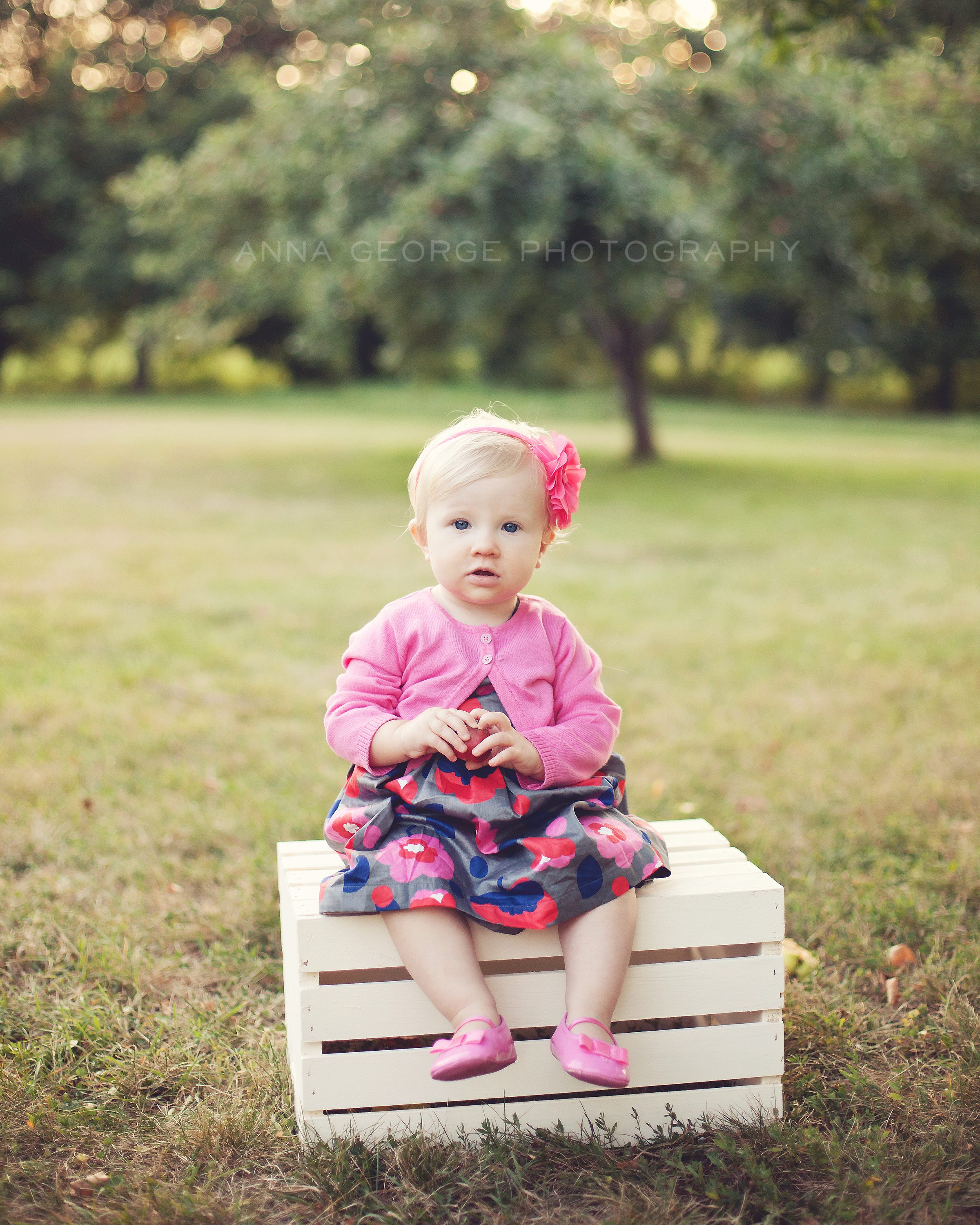 Anna George Photography - Madison WI Baby Photographer - www.annageorgephoto.com