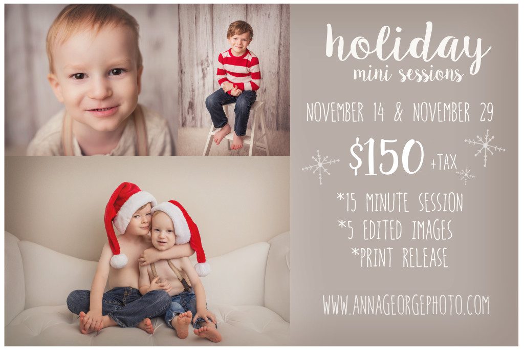Madison WI 2015 Holiday Mini Sessions with Anna George Photography - www.annageorgephoto.com