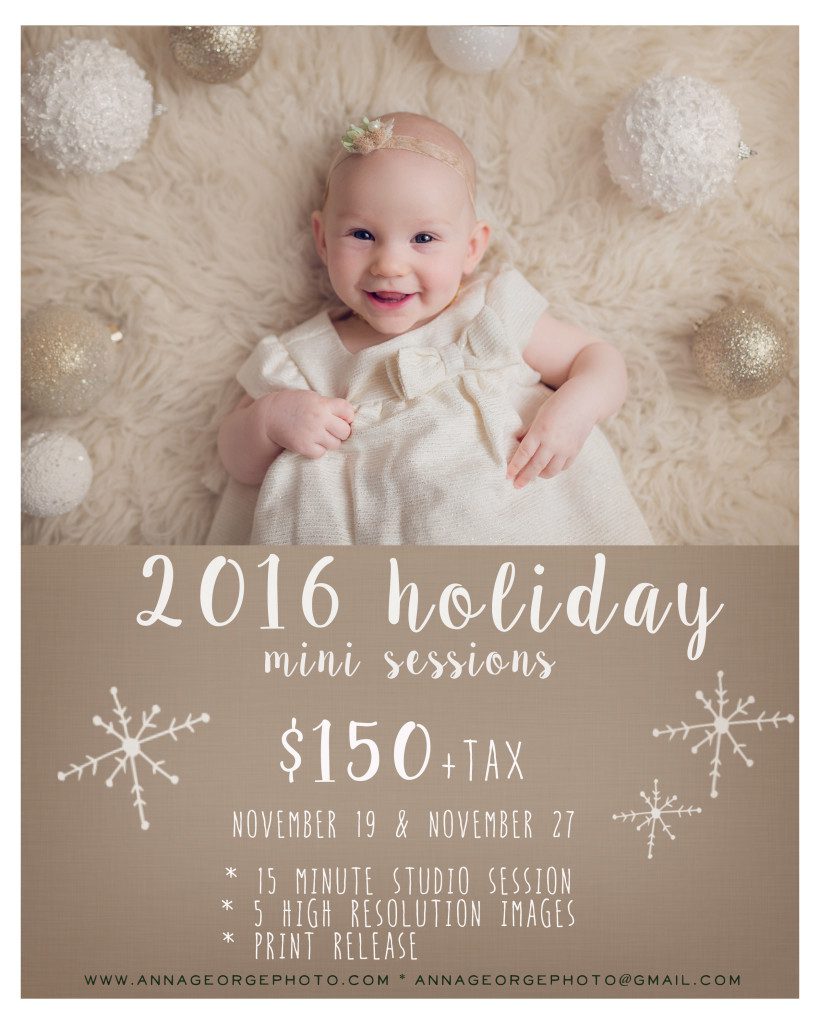 madison wi holiday mini sessions - anna george photography - www.annageorgephoto.com