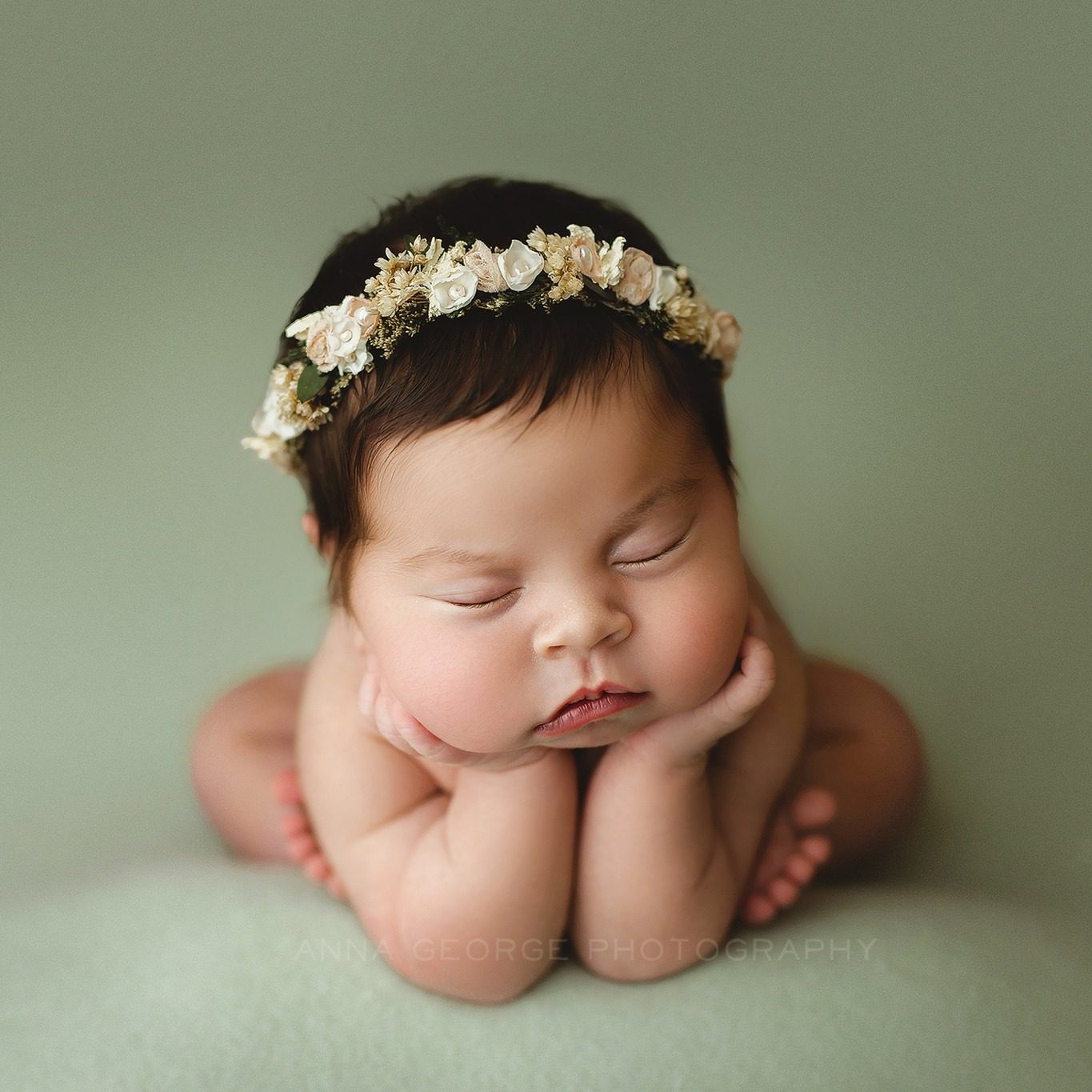 Zenfolio  Anna B Photography Sheboygan , Wisconsin newborn and