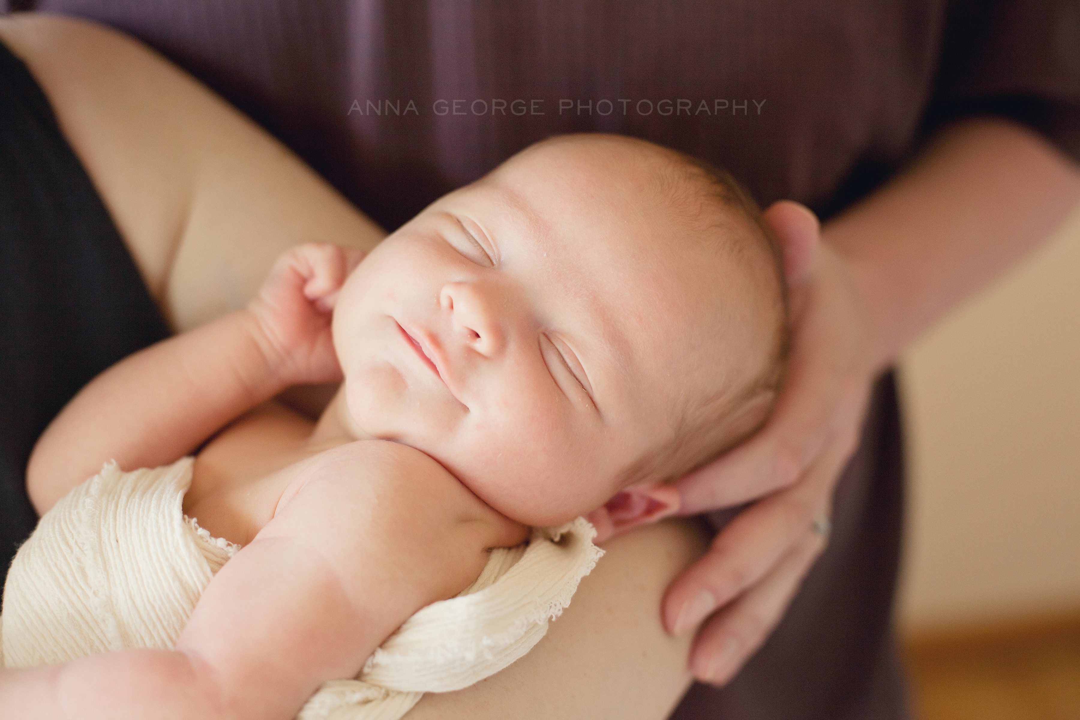 newborn photography - madison wi - anna george photography