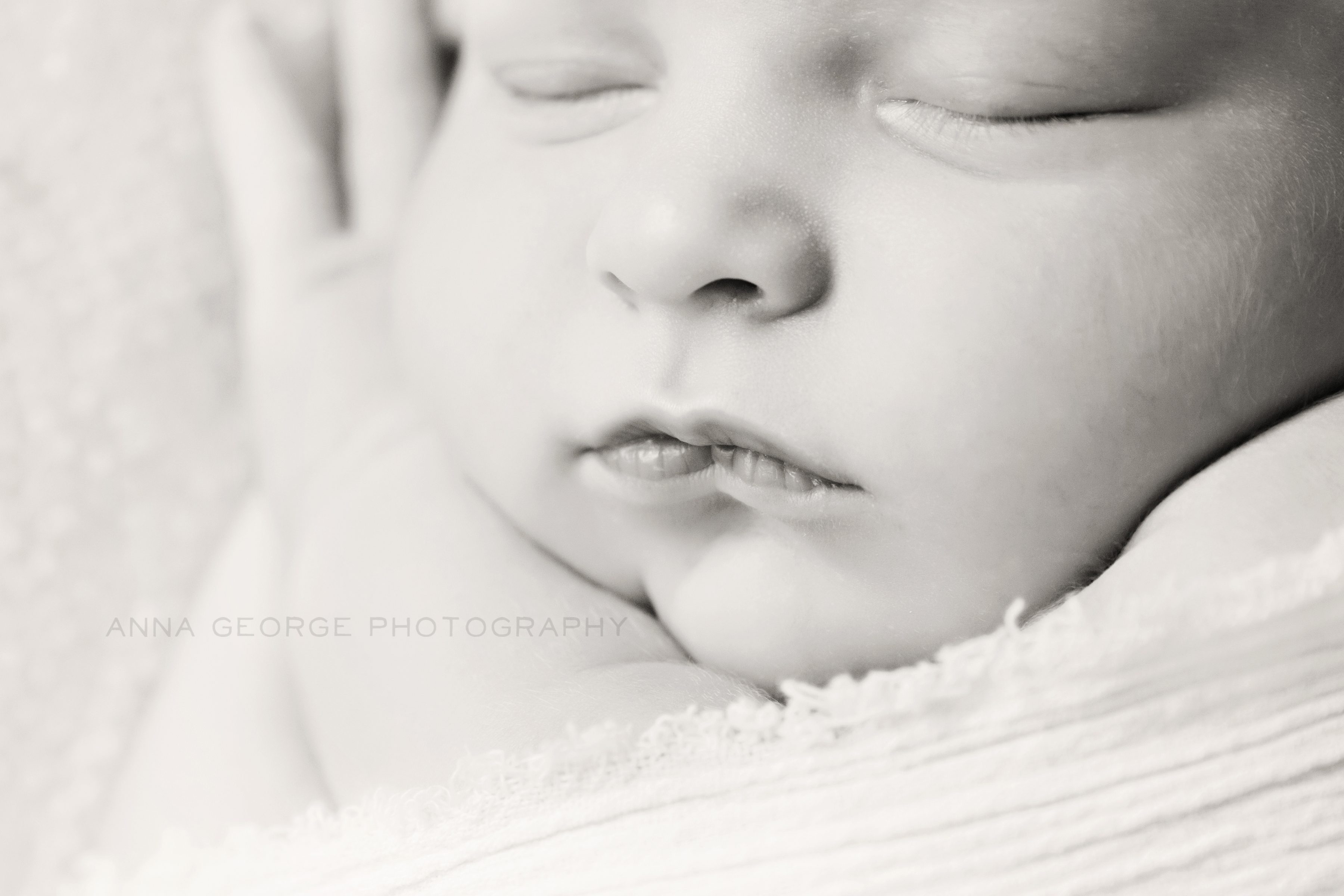 newborn photography - madison wi - anna george photography