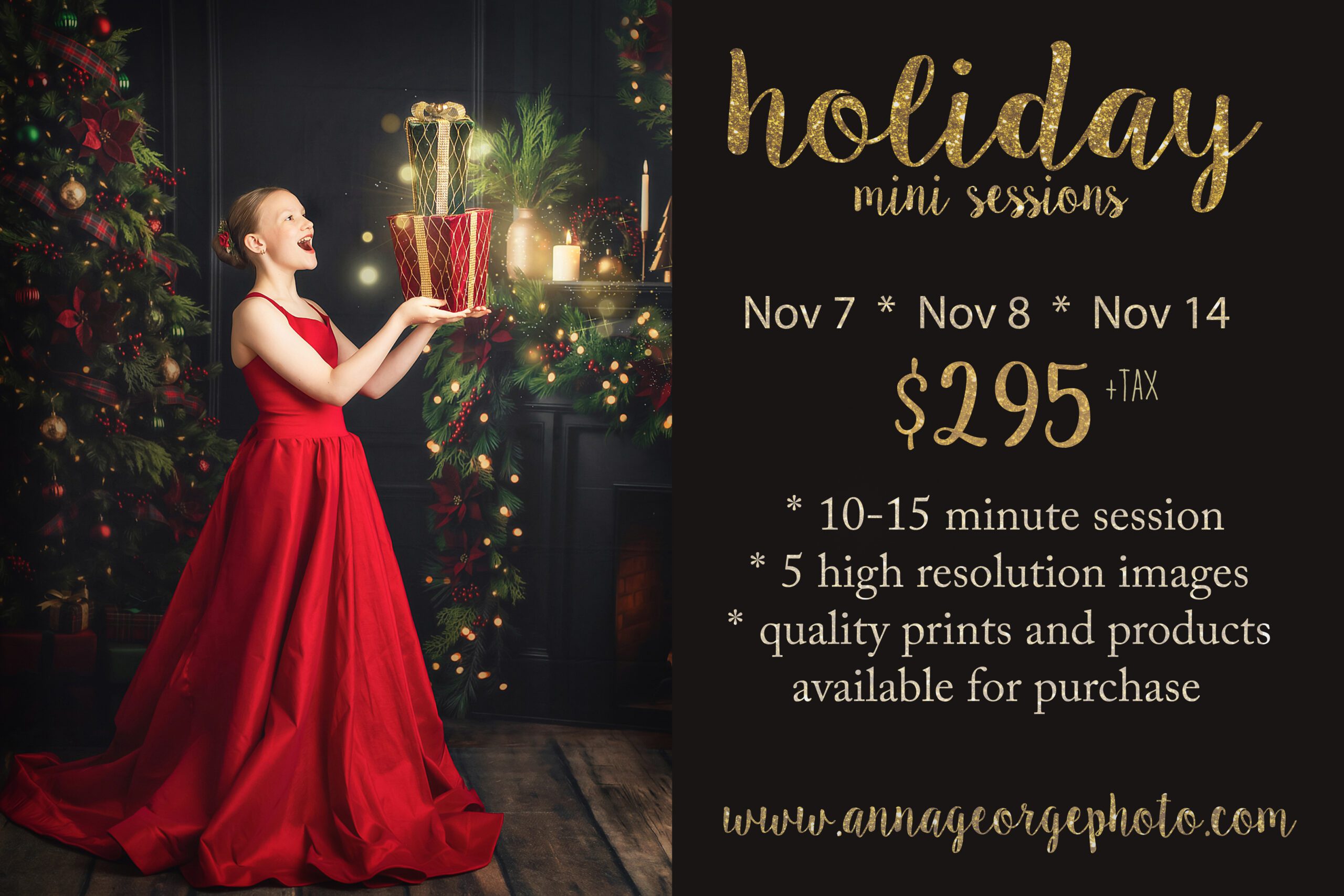 2026 holiday mini sessions available in madison WI nov 7 8 and 14